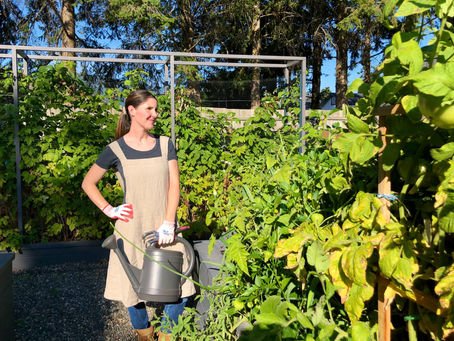 Permaculture: How can we apply permaculture to life? 